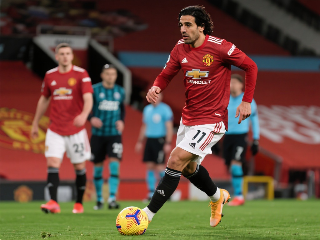 会市场上被 会市场上被